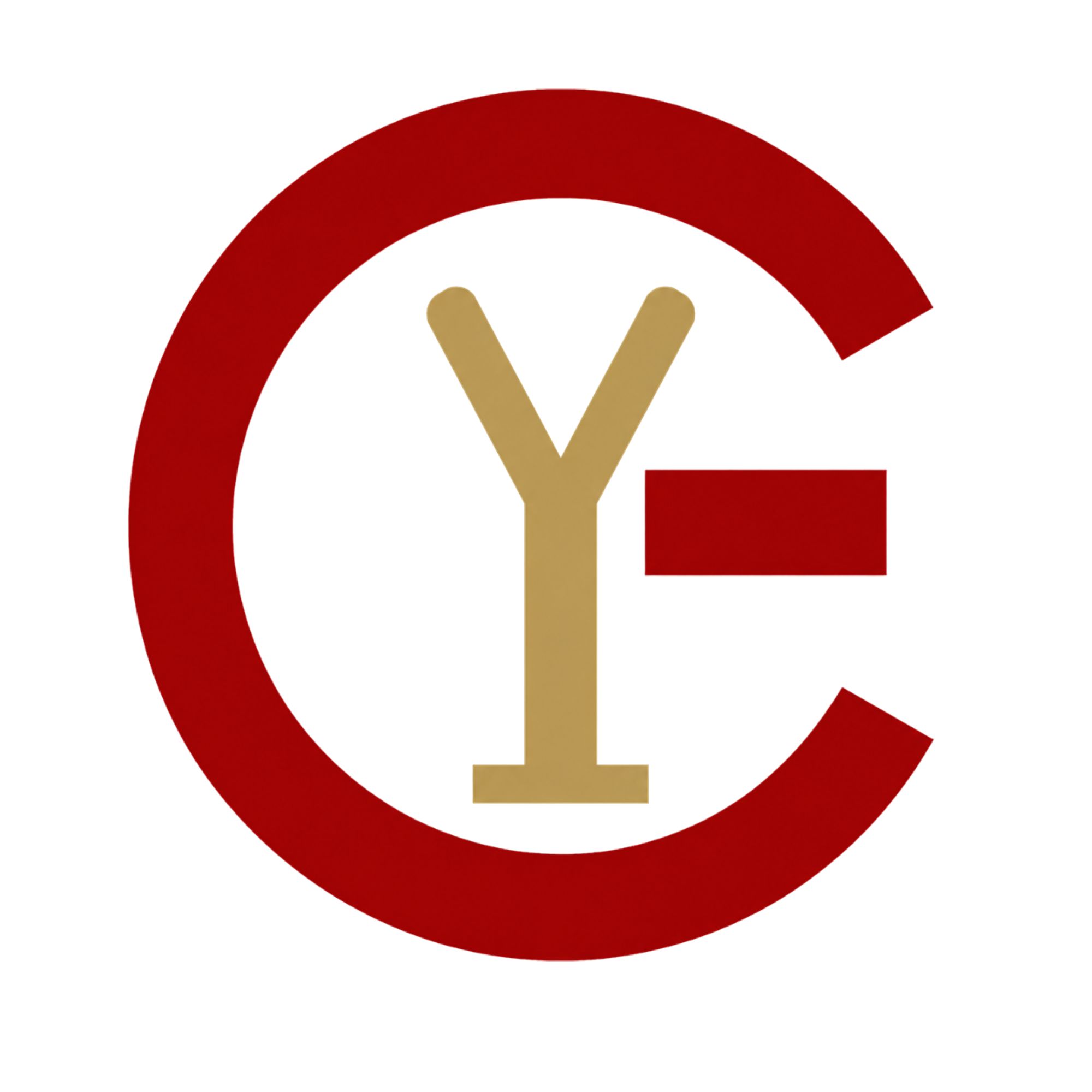 IGY logo